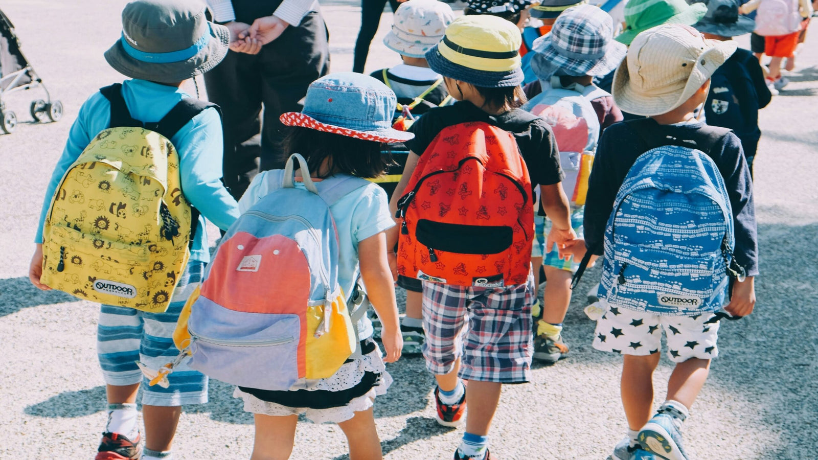 Essential Book Bags: A Must-Have for Every Student